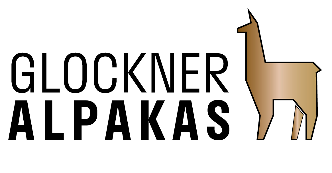 Logo Alpaka Web